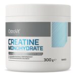 creatine 300g ostrovit